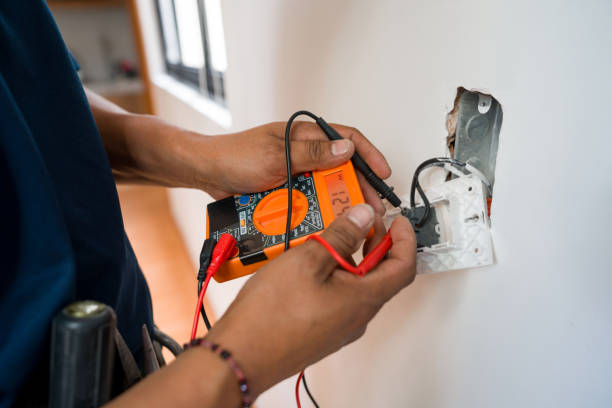 Best Electric Panel Repair  in Le Mars, IA