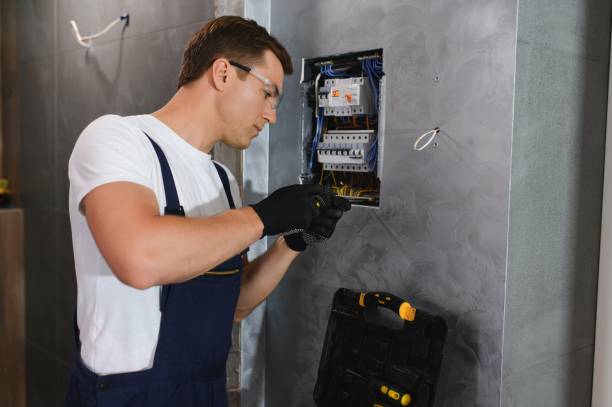 Best Home Electrical Repair  in Le Mars, IA