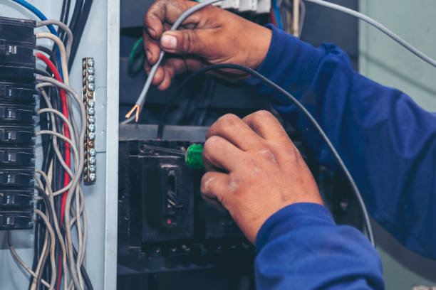 Best Local Electrician Companies  in Le Mars, IA