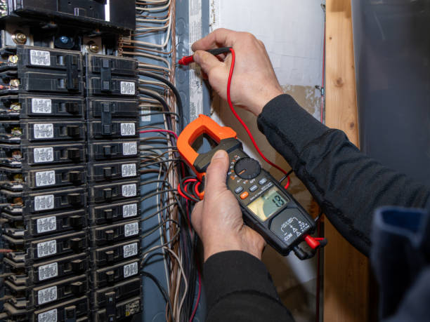 Best Ceiling Fan Installation Electrician  in Le Mars, IA