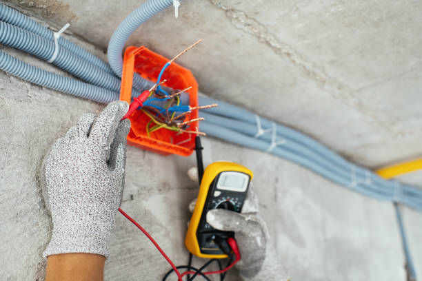 Best Licensed Electrician  in Le Mars, IA